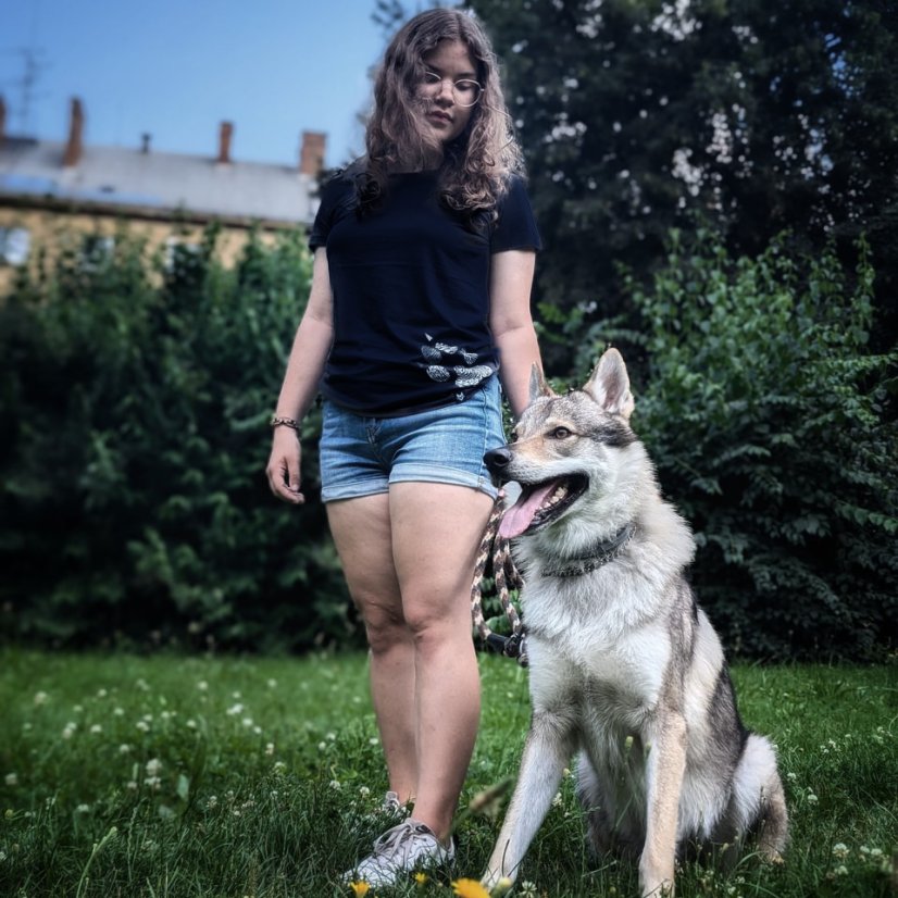 WOLFDOG Tričko, krátký rukáv, navy "Spojení vlků a lidí" - Barva: Navy, Velikost: L